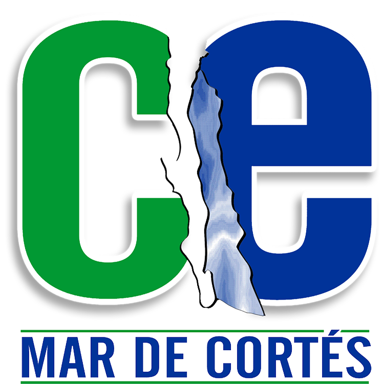 CENTRO UNIVERSITARIO MAR DE CORTES
